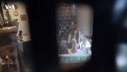 Настоящие собаки в миниатюре 