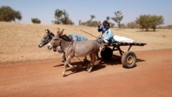 Dugu taalaw balan na, Douentza danteme wale bagaw bolo