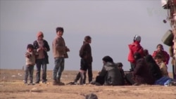 Families Flee Aleppo for Kurdish Regions in Syria