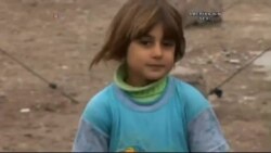 Bugün Birleşmiş Milletler İnsan Hakları Günü