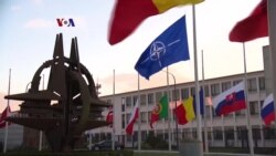 Dukungan Rakyat AS terhadap NATO di tengah Kritikan Trump