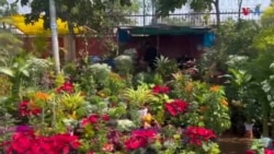 د جیپور د ګلونو بازار
