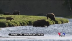 នាយក​ទីភ្នាក់ងារ​សេវា​ឧទ្យានជាតិ ចែក​រំលែក​ចំណេះដឹង​រយៈពេល​៤០​ឆ្នាំ​នៃ​ការធ្វើការ​ជាមួយ​ទីភ្នាក់ងារ​សេវាកម្ម​ឧទ្យាន​ជាតិ