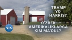 O'zbek amerikaliklar kimga ovoz bermoqda? 