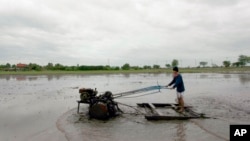 A Thai farmer plows his rice field in Ayutthaya province, central Thailand, June 21, 2013. 