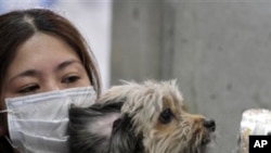 A woman holds her dog as they are scanned for radiation at a temporary scanning center for residents living close to the quake-damaged Fukushima Dai-ichi nuclear power plant in Japan, March 16, 2011.