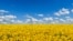 A frame grab from the video "Time to Move to Russia" shows a purported Russian field of sunflowers against an azure sky – the colors of the Ukrainian national flag. 