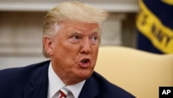 FILE - President Donald Trump speaks during a meeting in the Oval Office of the White House, Aug. 20, 2019. 