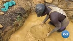 Some Zimbabweans Affected by Cyclone Turn to Beekeeping for Survival