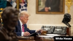 دونالد ترامپ، رئیس جمهوری آمریکا - آرشیو