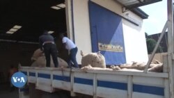 A bɛ san caman bɔ, Côte d’Ivoire ye bagabagali sɔrɔ ko a bɛna dankari a ka Cacao la