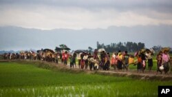 FILE - Myanmar's Rohingya ethnic minority members walk through rice fields after crossing over to the Bangladesh side of the border near Cox's Bazar's Teknaf area, Sept. 1, 2017. 