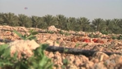 Qatar Farm Makes Compost Soil to Grow Crops