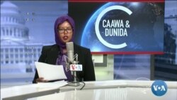 Caawa iyo Dunida