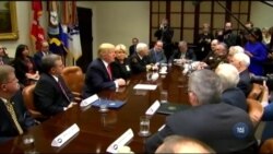 Справа стосовно імміграційного указу Трампа: чи може судова гілка влади піти проти волі президента? Відео