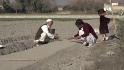 ننګرهار کې کروندګر خپلو محصولاتو ته د مناسب بازار غوښتنه کوي
