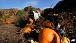  Sekitar 930 juta ton limbah makanan dihasilkan pada tahun 2019, atau sekitar 20% dari makanan yang tersedia (foto: ilustrasi). 