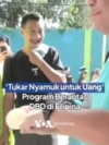 'Tukar Nyamuk untuk Uang' Jadi Program Berantas DBD di Filipina