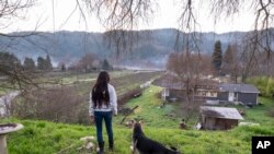 Maile Kane, 13, walks with her grandmother's dog, Charlie, outside her family's home on Jan. 20, 2022, in Hoopa, Calif. The girl's mother, Brandice Davis, said she grew up with Emmilee Risling and worries about the safety of her own daughters.
