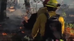 California'da Yangın Mevsimi Başladı