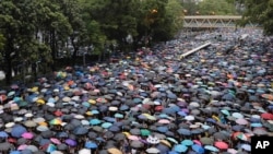 Protesters gather in Hong Kong, Aug. 18, 2019. 