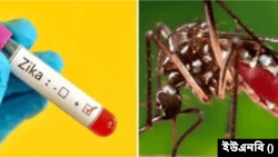 ফাইল ফটো 