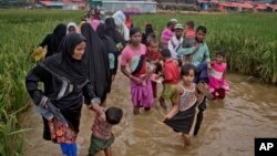Rohingya Muslims, who crossed over from Myanmar into Bangladesh, wade past a waterlogged path leading to the Jamtoli refugee camp in Ukhiya, Bangladesh, Nov. 17, 2017.