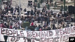 Anti-government demonstrators gather in Tahrir square in Cairo, Egypt, February 3, 2011