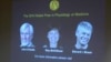 Three Share Nobel Prize for Discovering Brain's Navigation