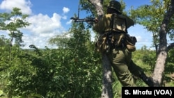 A member of Bumi Anti Poaching Unit scouts for poachers in Sebungwe area, Kariba, Zimbabwe, Feb., 2017. 