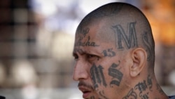 EEUU aún no ha deportado a salvadoreños pero las expectativas son que será un número considerable