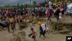 Rohingya Muslims, who crossed over from Myanmar into Bangladesh, walk through a muddy field after collecting aid from a distribution center near Balukhali refugee camp, Bangladesh, Thursday, Sept. 28, 2017. 