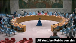 USA, New York, United States Security council on Ukraine 