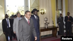 South Sudan&#39;s President Salva Kiir (C) walks with Ethiopia&#39;s Prime Minister Hailemariam Desalegn (3rd L) as he arrives for talks with leaders from Sudan in the Ethiopian capital Addis Ababa, January 4, 2013.
