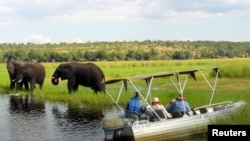 FILE - Foreign tourists in safari riverboats observe elephants along the Chobe river bank near Botswana's northern border where Zimbabwe, Zambia and Namibia.