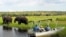FILE - Foreign tourists in safari riverboats observe elephants along the Chobe river bank near Botswana's northern border where Zimbabwe, Zambia and Namibia.
