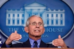 Dr. Anthony Fauci, director of the National Institute of Allergy and Infectious Diseases, speaks about the coronavirus in the James Brady Press Briefing Room of the White House, April 17, 2020, in Washington.