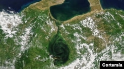 Imagen satelital del Lago de Maracaibo, en septiembre 2021. [Foto: cortesía de la NASA].
