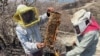Farmers in southern Mexico rescue bees as drought grips region