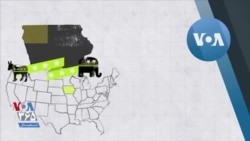 اینفوگرافیک | آن چه باید درباره گردهمایی‌ حزبی آیووا بدانید