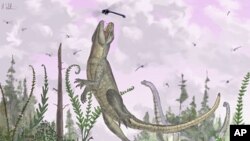 When crocodiles tried to be mammals: the Cretaceous crocodilan /Pakasuchus kapilimai/, with a complete set of mammal-like teeth hunts dragonflies on an ancient Tanzanian floodplain