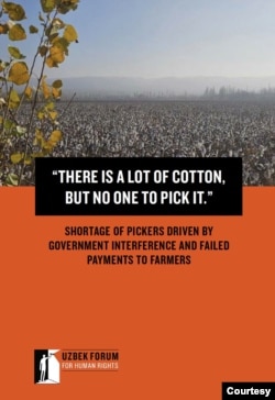 O'zbekistonda qishloq xo'jaligi liberallashishi kerak, deya undamoqda Inson huquqlari bo'yicha O'zbek forumi. Soha hamon hukumatning keskin nazoratida.