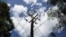 FILE - A utility pole supporting wires for electricity distribution is seen in Nairobi, Kenya. 
