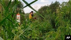 In this handout photo taken from video released by Belarusian State Border Committee on Aug. 6, 2021, a migrant carries his child through Lithuanian-Belarusian border on his way to Belarus. 