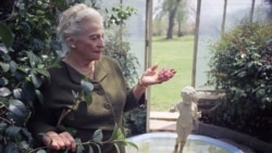 Quiz - Pearl S. Buck, The First American Woman to Win a Nobel Prize in Literature