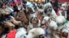 FILE - Owners raise their pets for a blessing from the Roman Catholic church to celebrate World Animal Day in Manila. 
