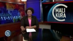 Amerique jamanatigisigi-kalata kalo nata la, Green Party ka cebo Jill Stein bɛ ka wote 1% ɲɔgɔn dɔrɔn de Kɛ. 