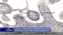 Teksas, përhapja e fruthit thekson rrezikun e hezitimit ndaj vaksinave