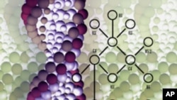 An individualized approach to diagnosis and treatment - using whole-genome sequencing - could move out of the research lab and into the doctor's office in the next few years.