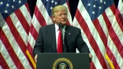 Trump Reasserts No Collusion with Russia